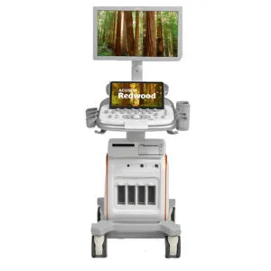 Siemens Acuson Redwood — УЗИ аппарат