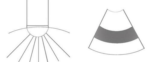 Принцип распределения лучей у конвексного датчика Ультразвуковые лучи конвексного датчика